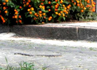 Los adoquines de mi barrio