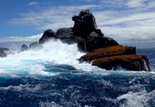 Galápagos: señales de un mundo posible