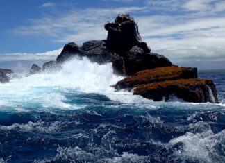 Galápagos: señales de un mundo posible