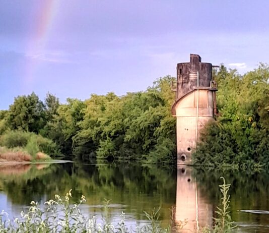 Asamblea de la Cultura de Santa Lucía