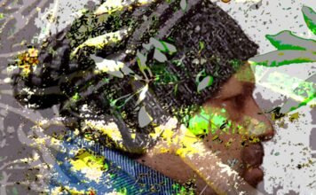 Pablo Raviolo: artista plástico